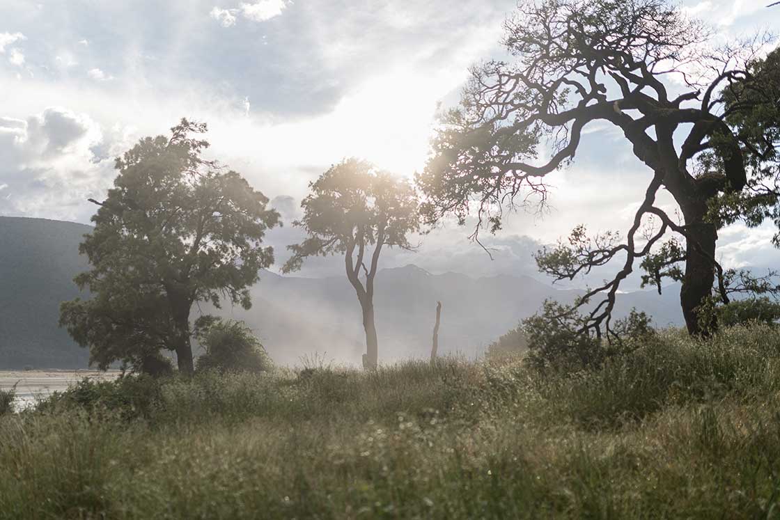 Welcome To the Wild Place - Photo and poem by Susan Miller